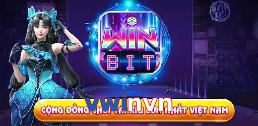 vwinvn